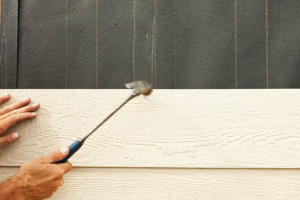 Best Storm Damage Siding Repair  in The Hills, NJ